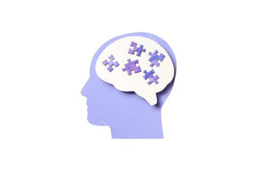 Preview: Brain silhouette with puzzle pieces, on white background