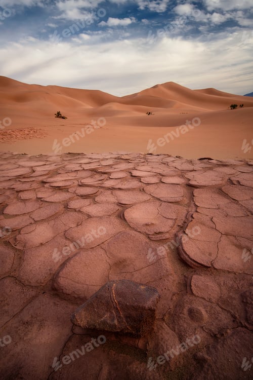 Preview: Sunset light illuminating dunes in the desert