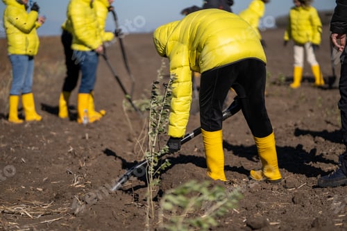 Preview: Group of people in bright yellow clothing planting in a garden