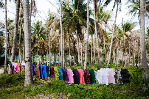 Preview: colorful clothes dry on a rope in nature in the jungle on a palm tree in summer