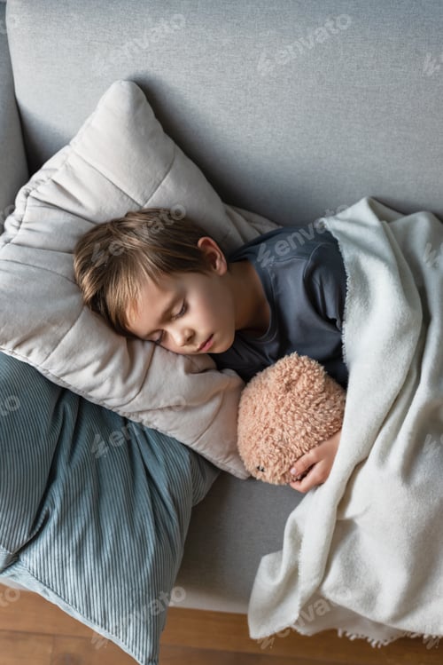 Preview: Preschool boy sleeps on the sofa in the living room, hugging his teddy bear.