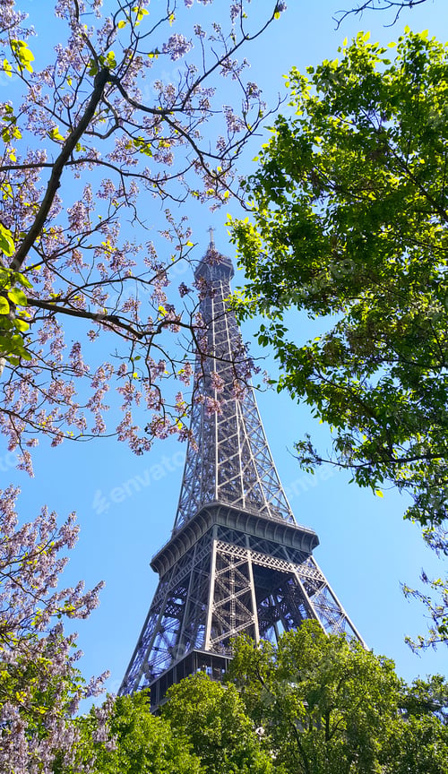 Preview: Eiffel Tower on blue sky background with beautiful blooming trees