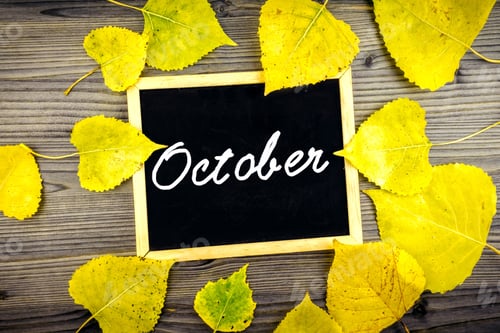 Preview: Fall Collection colorful autumn leafs and blackboard on wooden table