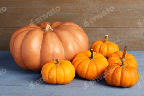 Preview: Pile of ripe pumpkins on grey wooden table