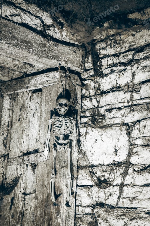 Preview: scary Halloween background with Jack'o'lanterns and skeleton