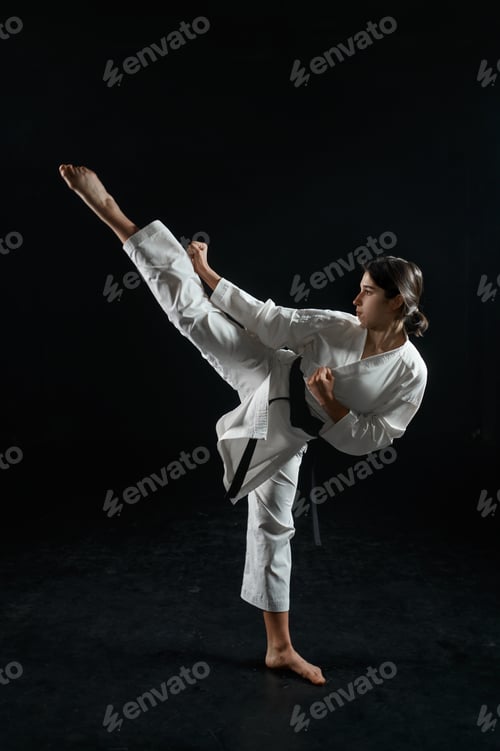 Preview: Male karate fighter, combat stance in action