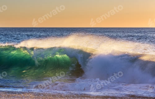 Preview: Wave