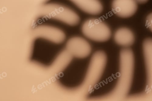 Preview: Shadows from monstera leaves
