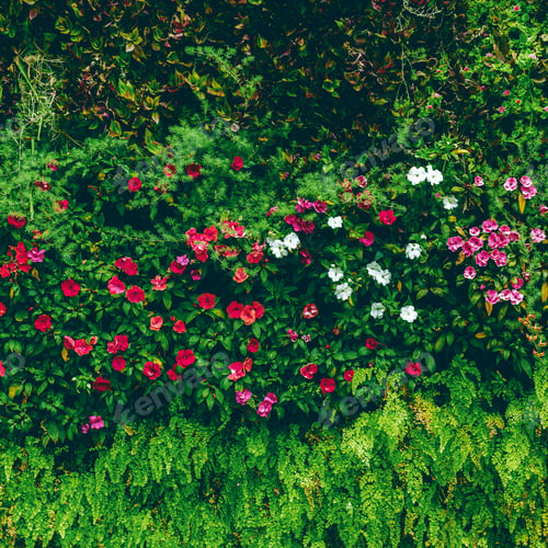 Preview: Flowers background Minimal art design idea