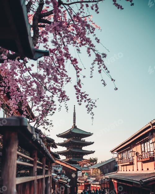 Preview: Yasaka Shrine through the Sakura Cherry Blossoms