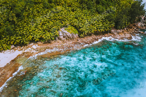 Preview: Aerial drone shot of palm grove and transparent blue water on Seychelles tropical beach, La Digue