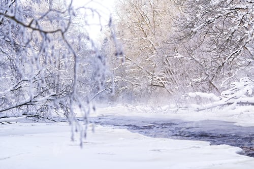 Preview: Arctic, Nordic landscape in winter time. Small river with ice in winter time