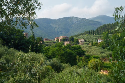 Preview: Pieve di Compito, rural village near Lucca, Tuscany