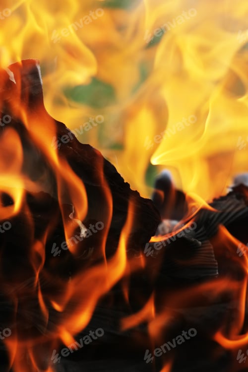 Preview: Burning Cardboard