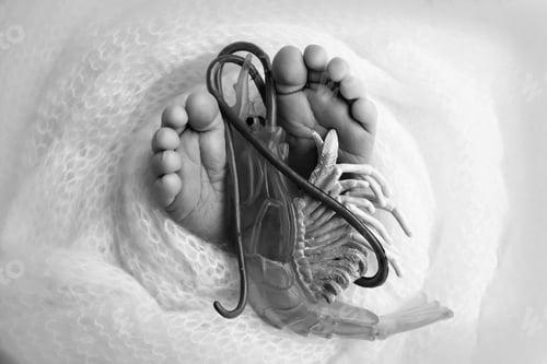 Preview: The tiny foot of a newborn baby. Soft feet of a new born with a toy shrimp.