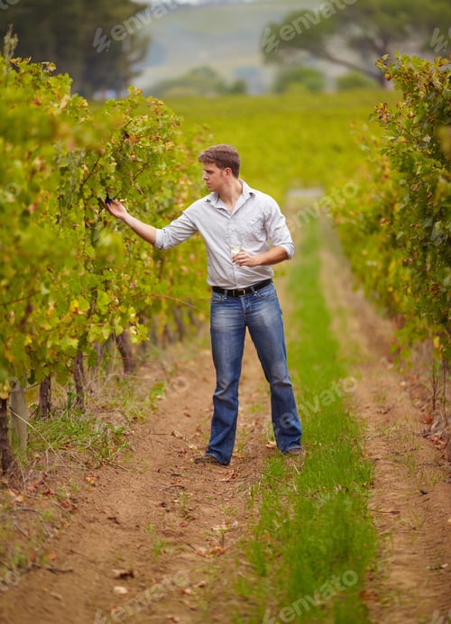 Preview: Keeping an eye on his grapes