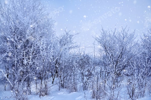 Preview: Beautiful winter landscape with falling snow