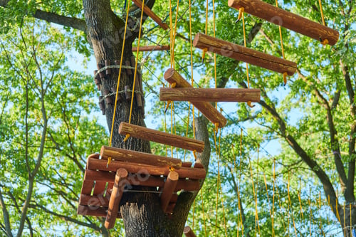 Preview: High ropes experience adventure tree park