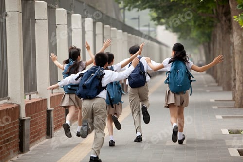Preview: Rear view of lively schoolchildren in uniform on the way to school