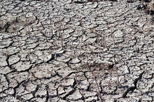 Preview: Texture of dry cracked soil