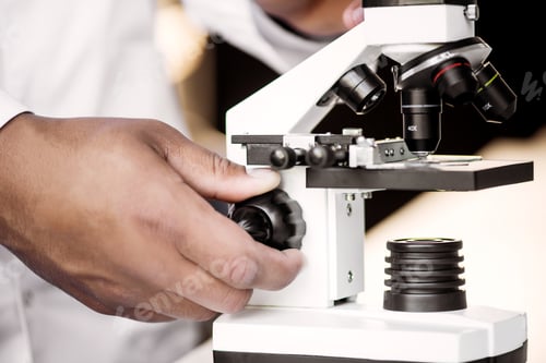 Preview: Cropped shot of a lab worker using a microscope