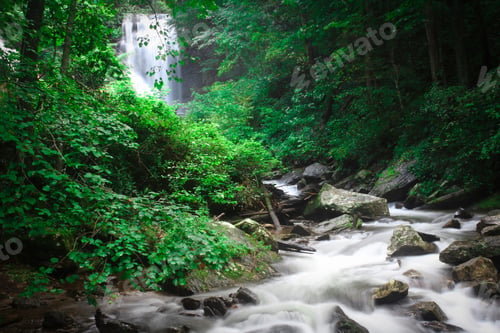 Preview: Beautiful landscapes nature