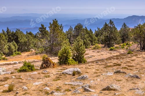 Preview: Sunny day over forest on Mont Aigoual