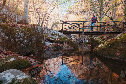 Preview: Woman hiking looking at scenic view of autumn foliage landscape.