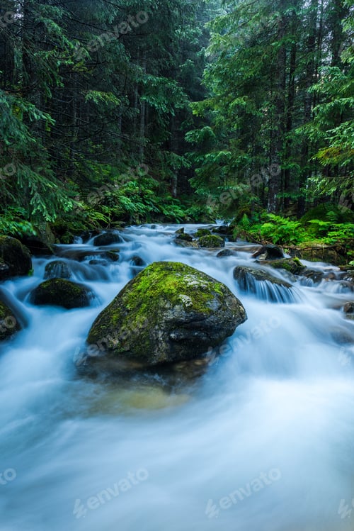 Preview: Fast Flowing Creek in Woodlands, Motion Blur, Tatras Mountain,Po