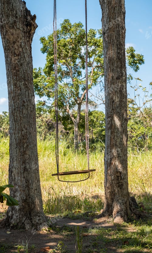 Preview: Empty swings in outdoor nature, ropes hangs from a tall trees,