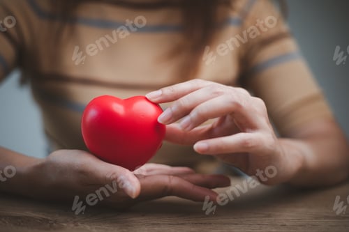 Preview: feMale hands holding red heart, world mental health day and world heart day,