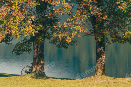 Preview: Bicycle leaning on the chestnut tree by the lake Bohinj in summer morning