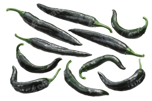 Preview: Chilaca Pasilla chile peppers, paths