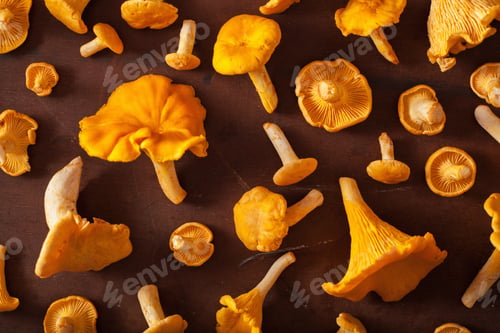 Preview: raw fresh chanterelle mushrooms flat lay on dark background