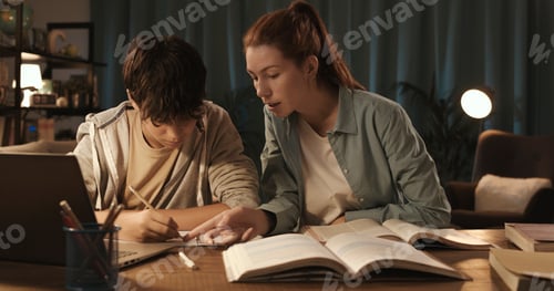 Preview: Boy Learning with Woman Tutor at Home