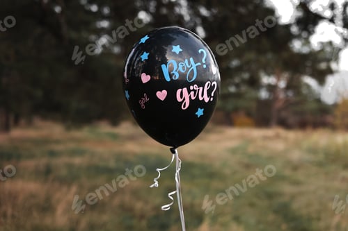 Preview: Celebration gender Party on nature. Black baloon with the inscription Boy and Girl moving in the air