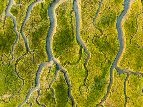 Preview: Nature from a drone. Aerial view of a meandering river in a field. Scene from air.