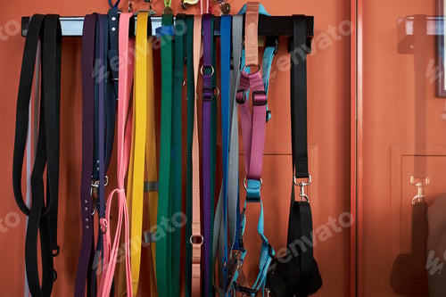 Preview: Colorful Dog Leashes Hanging on Wall Rack in Pet Care Facility Setting