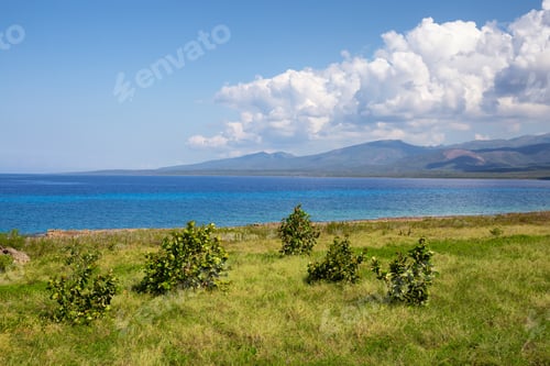 Preview: View of the Ocean Shore at the Caribbean Sea during a sunny summer day
