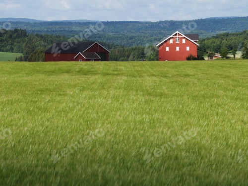 Preview: Peaceful scene of farm house and a red barn with forested hills and blue sky background.