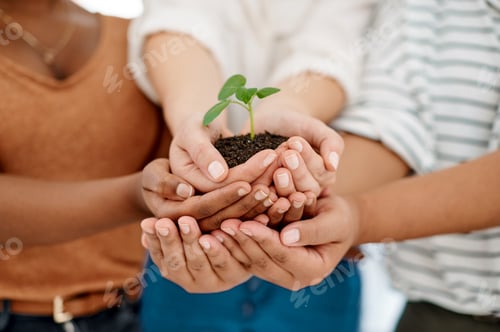 Preview: We all play a role in growing this business