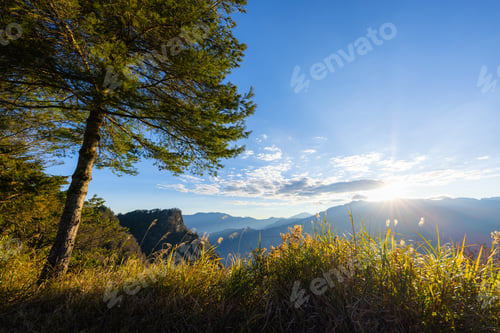 Preview: Beautiful sunrise in Dueigaoyue Station at Alishan national forest recreation area