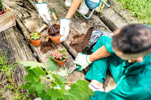 Preview: Top view of farm workers taking care on small plants at alternative farm production