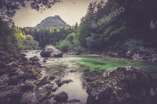 Preview: Mountain river in the green forest