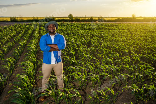 Preview: Successful farmer