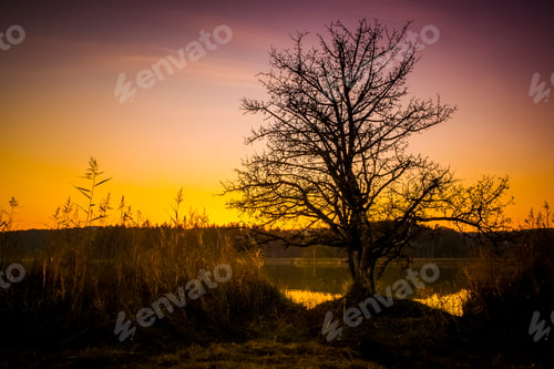 Preview: sunset at Osterseen Lake near Iffeldorf Bavaria Germany