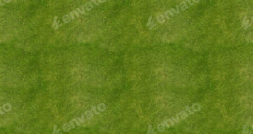 Preview: Soccer football field grass background