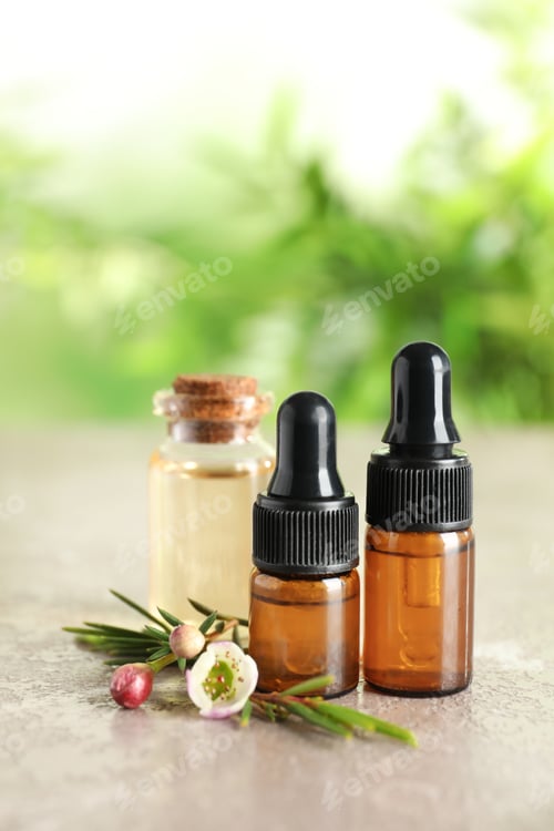 Preview: Bottles of natural tea tree oil and plant on table against blurred background