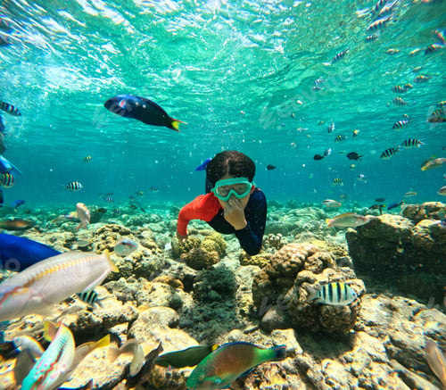 Preview: Young boy in a wetsuit and goggles swimming in the water