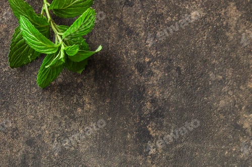 Preview: Mint, Fragrant Green Petals (Food Decoration) Menu Concept. Food Background. Copy Space. Top View